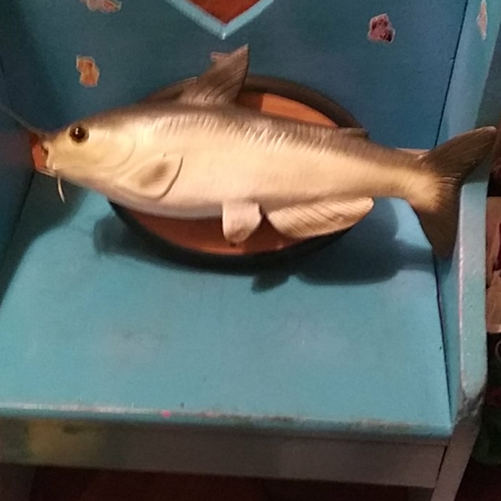motion activated talking, singing fish plaque.